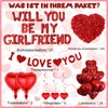 Will You Be My Girlfriend - 554 Pcs Balloons Decorations