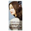 헤어칼라 4회분-N5(진한갈색) Hair Color 4 Applications - N5 (Dark Brown)