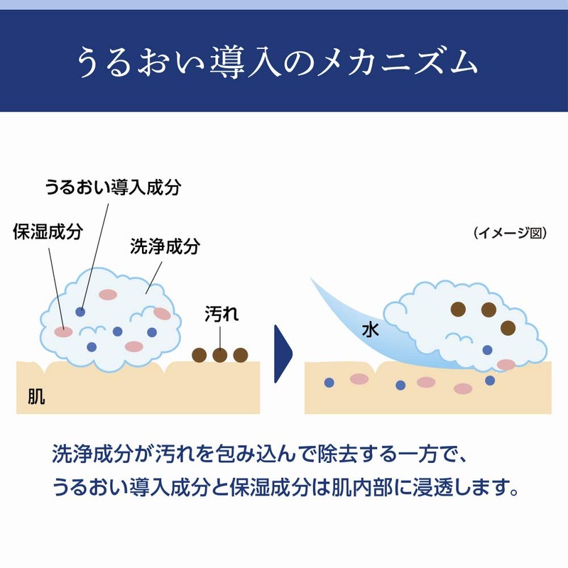 Senka Speedy Perfect Whip - Moist Touch