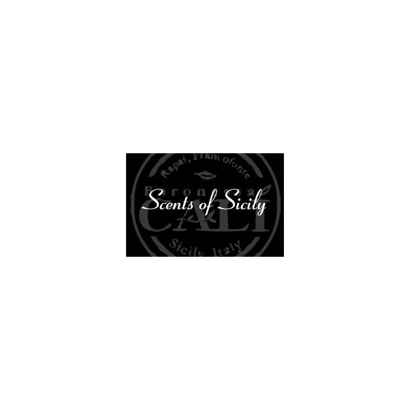 Fireplace - Cinnamon and Amber 9 oz Soy Candle -