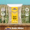 Rani Kodri (Polished Kodo Millet Seeds) Ancient Grains 400g (14oz)