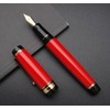 xixixiaozhu Metal Big Fountain Pen Set Medium Nib 0.7mm, Includes