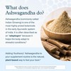 Youtheory Ashwagandha Gummies - with Organic KSM-66 Ashwagandha - Herbal
