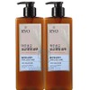 ryo Ryeo Brewer's Yeast Hair Root Nourishing Hair Loss Symptom