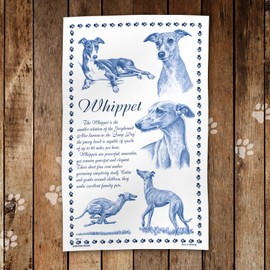 Whippet Printed Tea towel - 100 Percent Cotton. Dog Lover Pet gift for him her best boy/girl Doggo Friend Teatowel