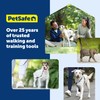 PetSafe Nylon Leash - Helps Maintain Secure Connection on Walks