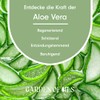 Organic Aloe Vera Oil - Garden of Oils - Made