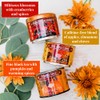 The Republic of Tea – Harvest Stackable Tea Tin, 36
