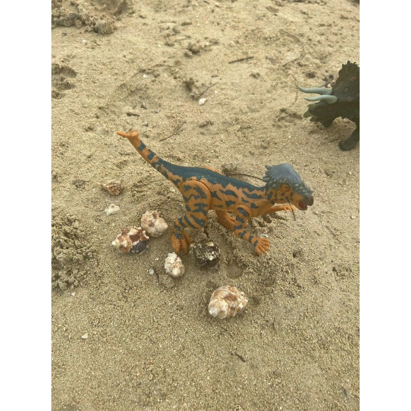 Kid Galaxy Amazing Detail PACHYCEPHALOSA