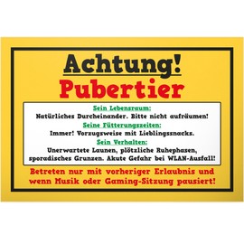 DankeDir! Pubertier - Plastic Sign 30 x 20 cm - Gift Idea Teenager Saying Room Door Sign Boys & Girls Teenagers Room - Decoration Gift Idea Teenagers Door Decoration Birthday