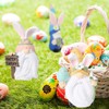 Pujipu Easter Gnomes, Easters Decorations, Resin Spring Gnome Figurine, Easters