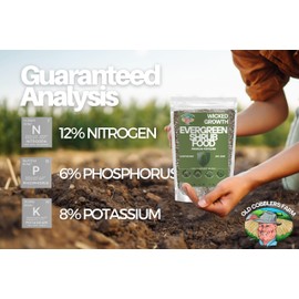 Evergreen Shrub Food – Premium Fertilizer – Strengthens Year-Round Greenery and Supports deep, Durable Roots by Old Cobblers Farm (5 lbs)