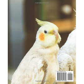  Feathered Companions: A Comprehensive Guide to Caring for Pet Cockatiels: Embark on a Journey of Joy and Connection with Your New Avian Friend