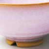 Japanese Ceramics M54875350 Tsubaki Hagi Murasaki Rice Bowl