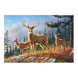 Autumn Whitetails 2000 Piece Puzzle (Artist - Hautman)