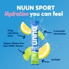 Nuun Nuun Sport Electrolyte Powder Packets with Magnesium, Calcium, Potassium,