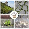 mcwdoit Crack Weeder Tool, Crevice Weeding Moss Brush with 2