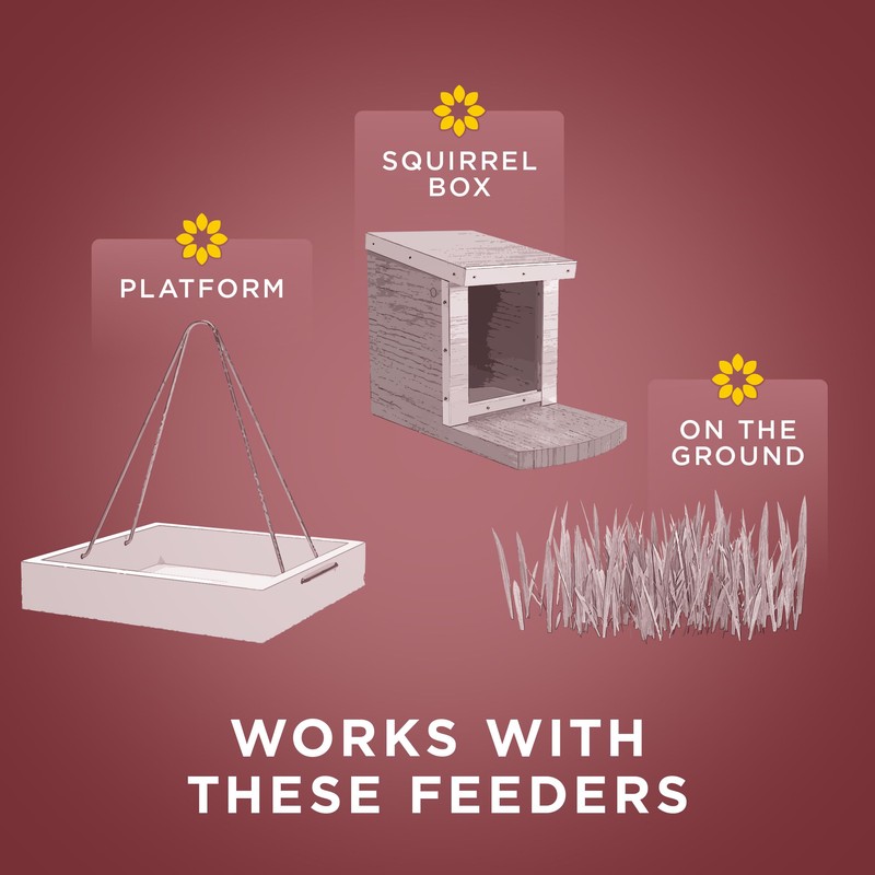 Audubon Park Squirrel & Critter Food, 15-lb. Bag