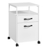 VASAGLE File Cabinet, Mobile Filing Cabinet with Wheels, 2 Drawers,