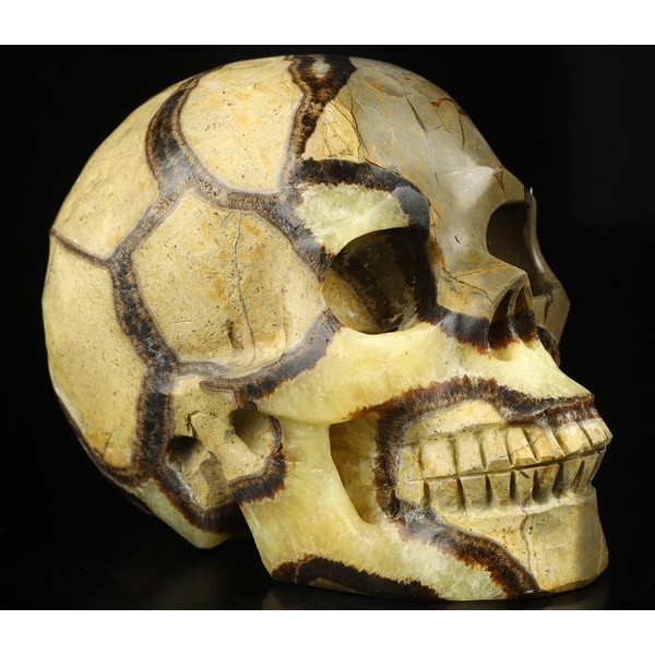 Skullis 5.0” Dragon Septarian Stone Crystal Skull, Hand Carved Gemstone Fine Art Sculpture, Reiki Healing Stone Statue.2678