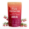 Sacred Summit Pure Berberine 500mg – 10:1 Extract (5000mg Equivalent)