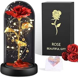 BOLEi Eternal Rose for Women, Eternal Rose in Glass Surprise for Mom, Beauty and the Beast Rose, Wedding Anniversary Surprise for Women, Red Galaxy Rose for Her, Girlfriend (Classic Red Rose)