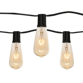 Holiday Bright Lights 10L String Lights - ST40 Clear Incandescent Bulbs, Edison Style Light Set, Outdoor Patio String Lights Porch Decor