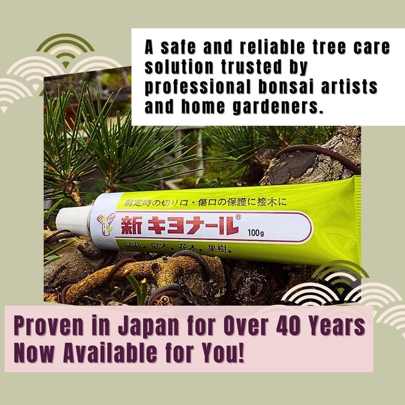 Kiyonal Kiyonal New Bonsai Pruning Cutting Sealer 100g Made in