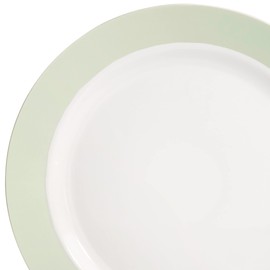 " OCCASIONS " 240 Plates Pack, Disposable Wedding Party Plastic Plates (10.5'' Dinner Plate, Rio in White & Pearled Green)