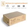 AGYM Cat Scratcher, 5 Packs in 1 Cardboard Box Cat