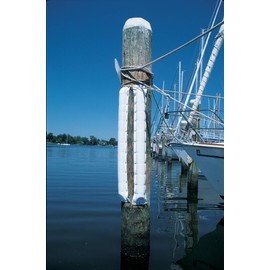 Taylor Made Products DB6.60 Dock and Post Bumpers (X-Large,8 W x 3 1/4 D, 6-Foot)