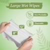 ProHeal X Large Wet Wipes for Adults - 2 Packs