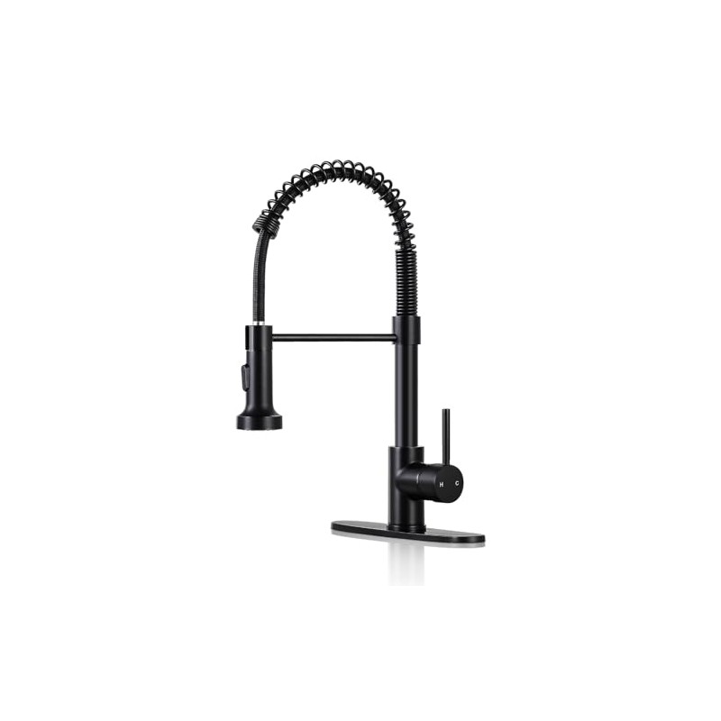 DJS Kitchen Faucets with Pull Down Sprayer Matte Black -