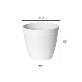 Root & Vessel Dolce Round Planter, White, 8"