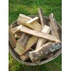 FPS Sassafras 10 inch Mini Log Chunks For Smoking BBQ