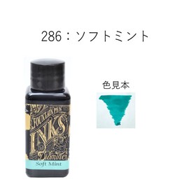 Diamine 30 ml Bottle Fountain Pen Ink, Soft Mint