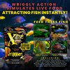 Xtreme Wrigglers - Krill-Based Live Fish Food Alternative - Vibrant