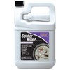 Bonide Spider Killer, 128 oz Ready-to-Use Spray for Indoors &