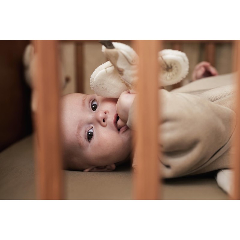 Jollein Dreamy Mouse 031-562-67056 Comforter Blanket 19 x 11 cm