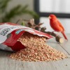 Pasta de Cría Factor Rojo 1kg Alamazonas Breeding Paste with
