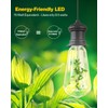 Sunco 12 Pack Vintage LED Edison Bulbs, 75W Equivalent 8.5W,