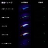 DAIWA Egi Emerald Amoras Joint Type S 3.5 Pink Luminous