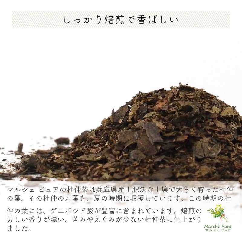 Marche Pure Tea Tea Pack Made in Japan, 0.07 oz