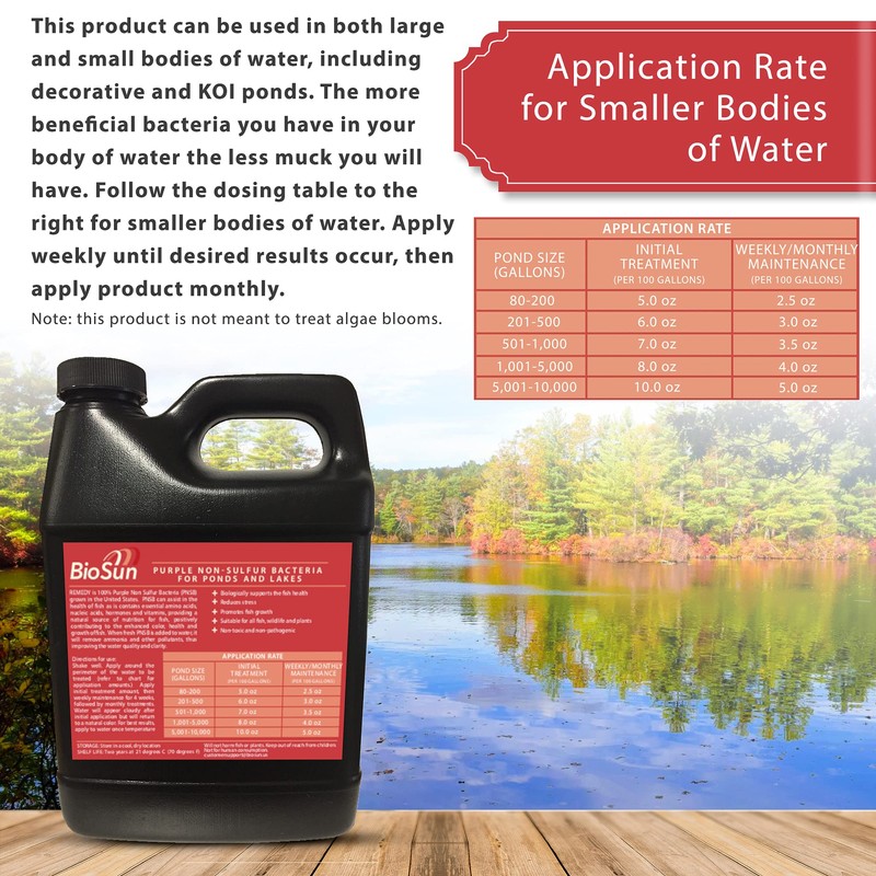 BioSun Purple Non-Sulfur Bacteria for Ponds and Lakes – Fish,