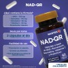 Nad+ | Quercetina Y Resveratrol 60 Caps Suplemento 3 Pack