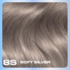 Clairol Nice'n Easy Permanent Hair Dye, 8S Soft Silver Hair