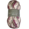 Woolcraft Superwash 4ply sock yarn 100g Milano 2147