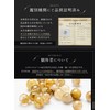 KYOUJUDOU Rutilated Quartz Power Stone Bracelet, Natural, King of Money