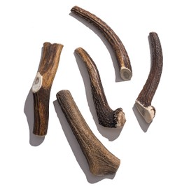 Jack&Pup Antlers for Dogs - 8-Inch Premium Grade Whole Elk Antlers for Dogs Large - Naturally Shed Odor Free Long Lasting Dog Antlers Treats Made in The USA - (Pack of 1)