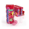 Mentos SugarFree Chewing Gum with Xylitol 15 Piece Bottle Bulk